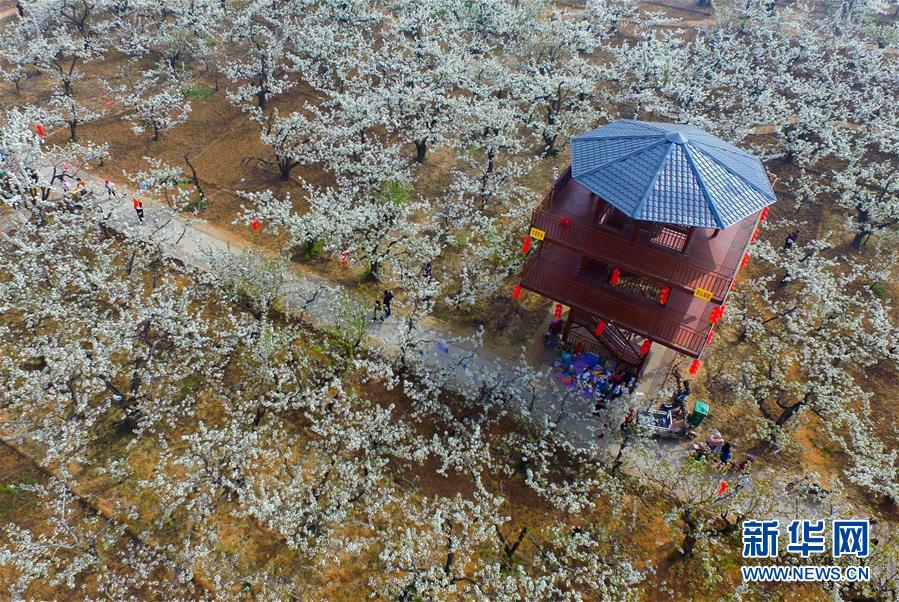 六安市展开“全国土地日”宣扬活动