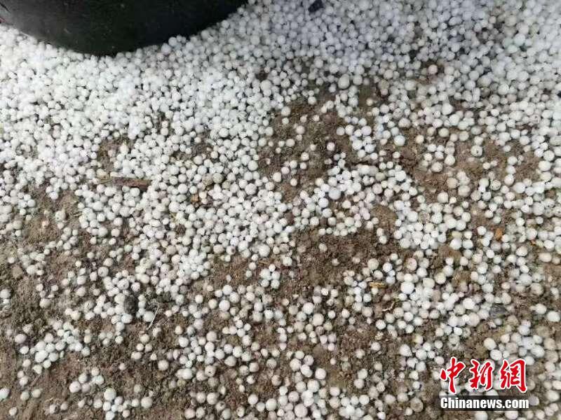 “高雅女人 礼赢人生”专题讲座举行