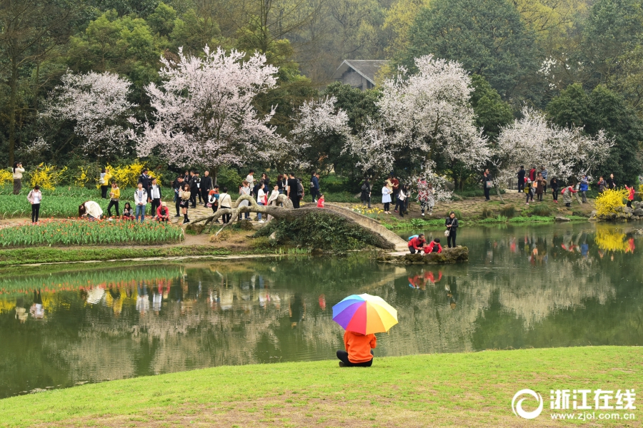 现象级爆品！30天抢滩600城，植衍气泡果汁，今夏顶流预定！