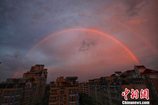 砀山上榜2020年我国“书香城市”