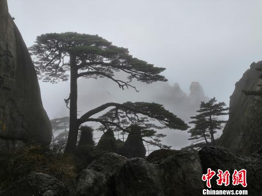 2019第七届我国（安徽）旅行品牌节将举办