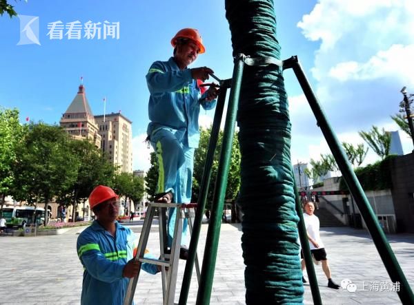爱游戏(ayx)中国体育手机版