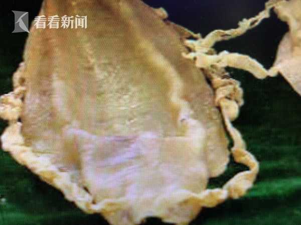 亳州市5月份“感动药都”评选成果揭晓