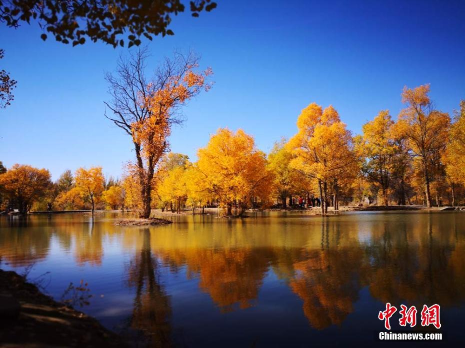 2019第七届我国（安徽）旅行品牌节将举办