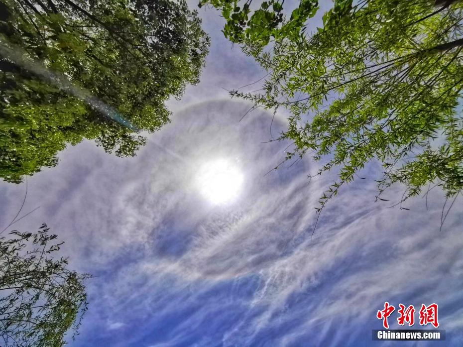 武王墩墓考古进入文物修正与研讨阶段