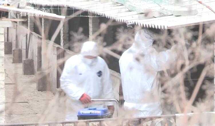 “探寻古今暮光紫蓬”合肥紫蓬山民俗文化周启幕