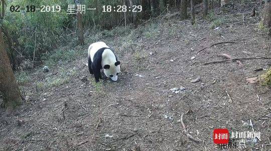 让博物馆“走出去”  让常识“活起来”