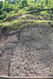 合肥市暨蜀山区“咱们的节日——重阳节”主题活动举办