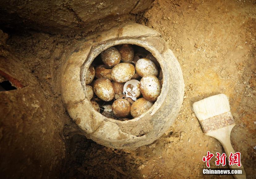 长三角地区首届我国工业大奖获奖企业经验交流会在肥举办