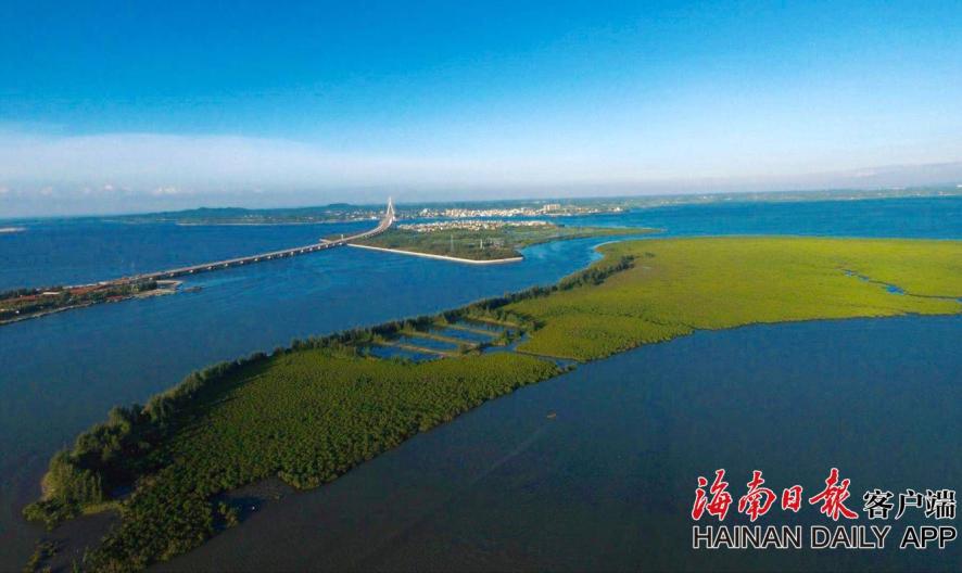 德里赫特：近几场成绩是对范尼的赞美球队的动力和冲劲改变了