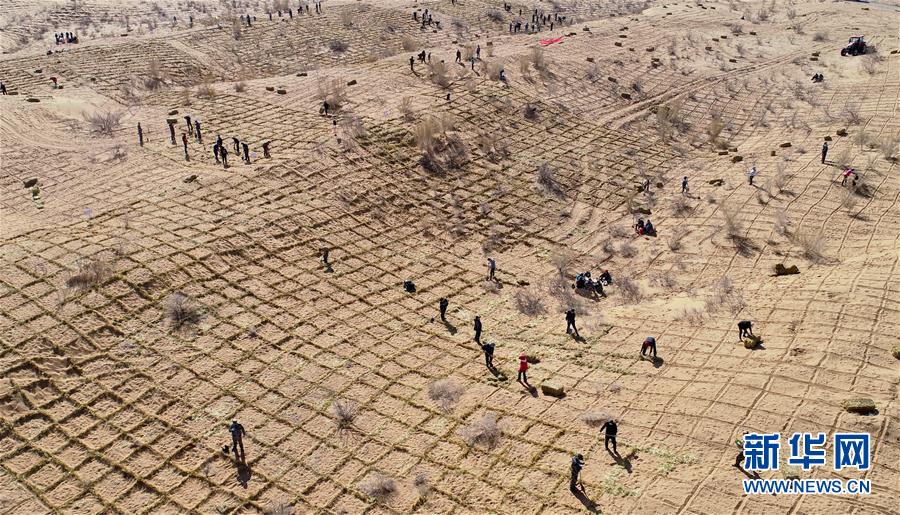 庐江茶文化旅游节发动 发布多条特征惠民游线路（图）