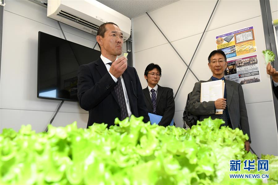 B费自首秀在英超已14次传射建功，仅次于萨拉赫和德布劳内