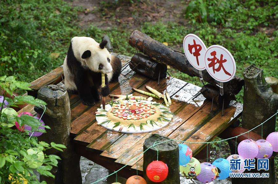 阜阴文旅惠民卡发行8000余张