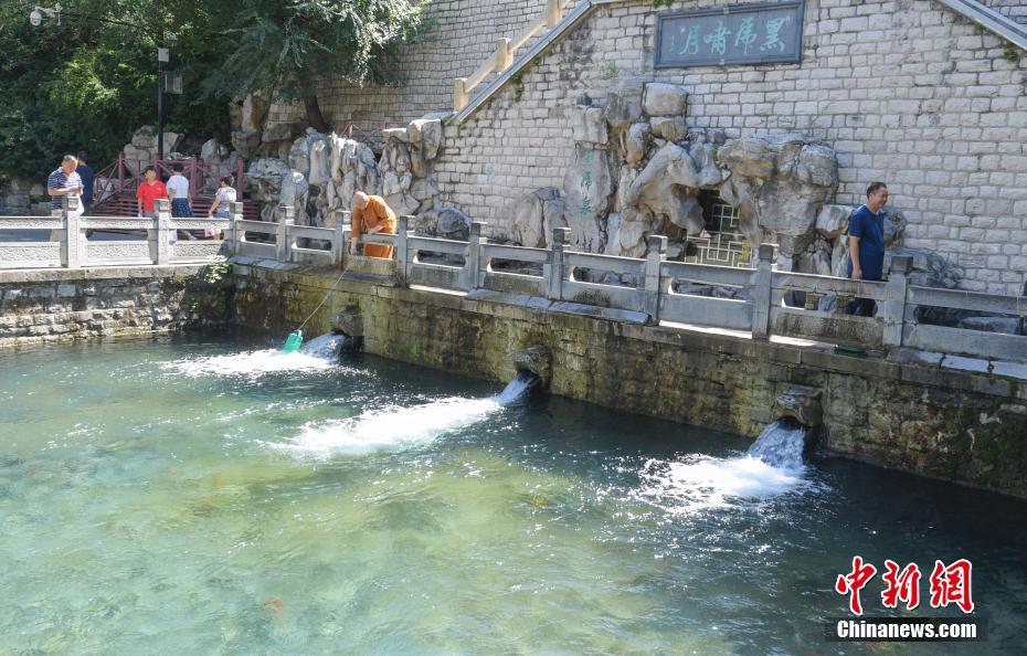 龙子湖上赛龙舟多所高校来比赛