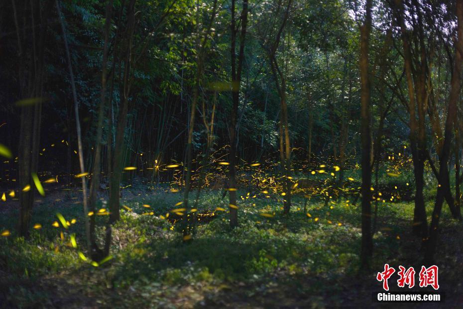 科普电影《寻秘自然：时间的形状》合肥站首映