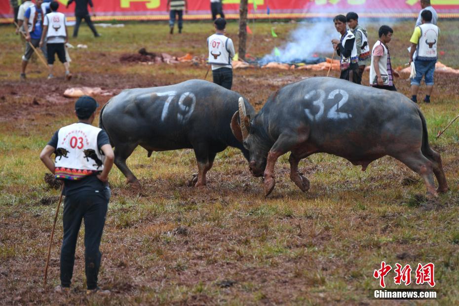 200多电子竞技高手亳州PK