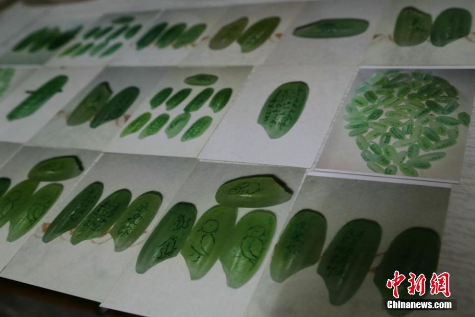 商机不断，合作无限，恭喜中山新启动食品饮料厂续约火爆网！
