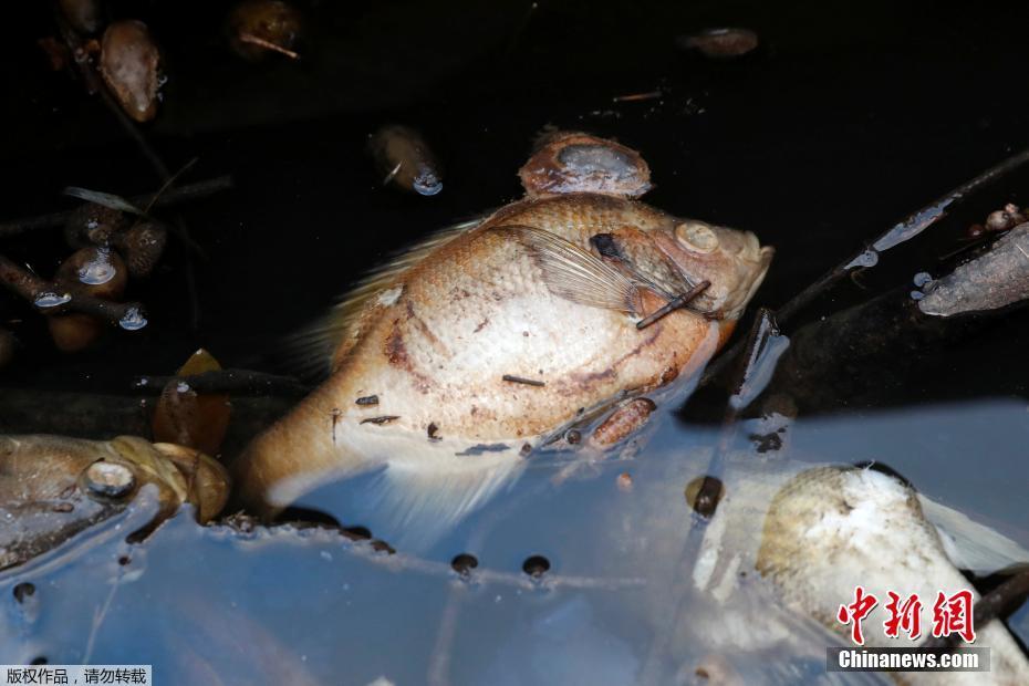 好喝不胖，健康美味！鲜绽苏打气泡水内外兼修，着实不错！