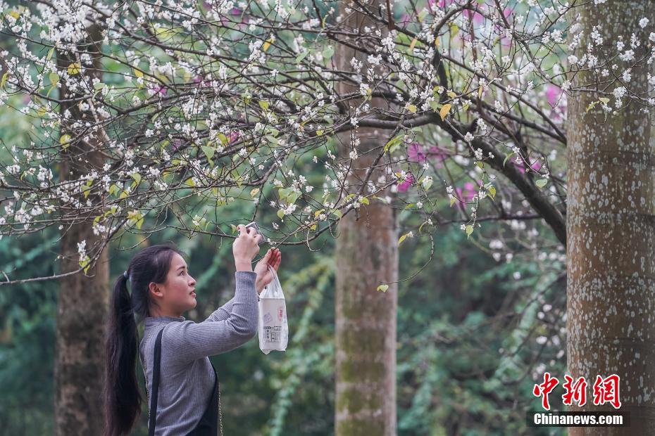 等你来唱！合肥市员工歌手大赛下月开赛