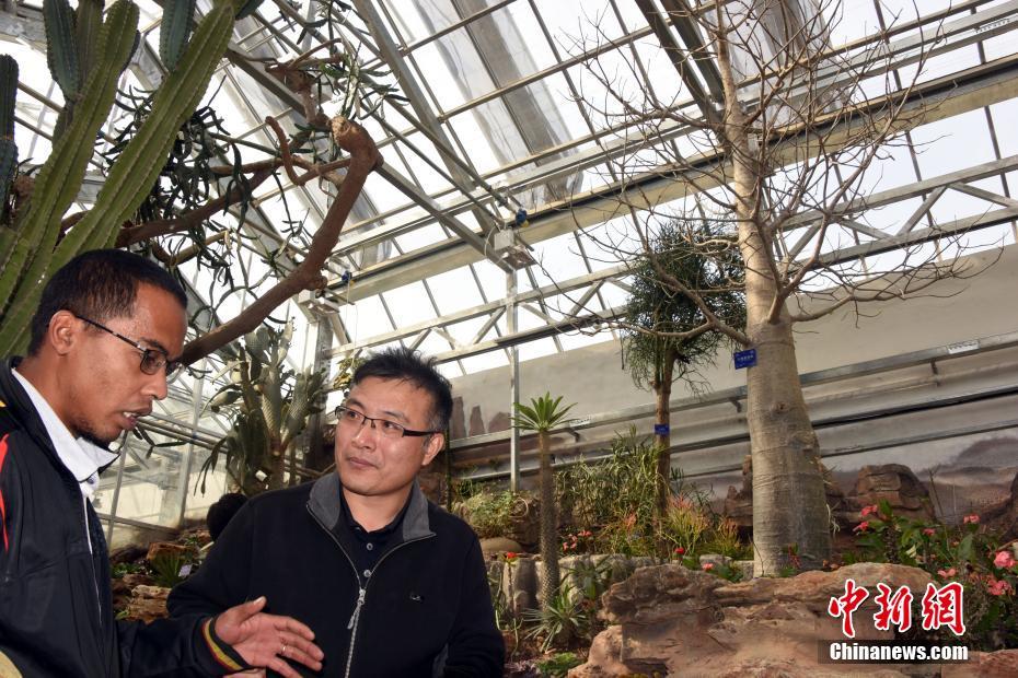 铜陵市博物馆推出首套收藏文物纪念币