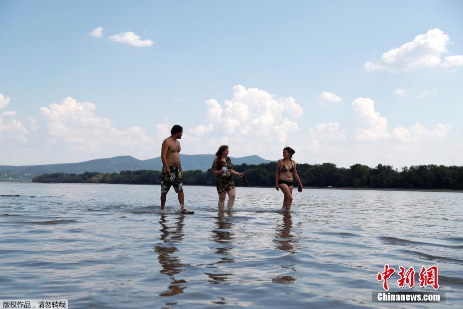 以茶为媒  以歌传情  推进农文旅深度交融