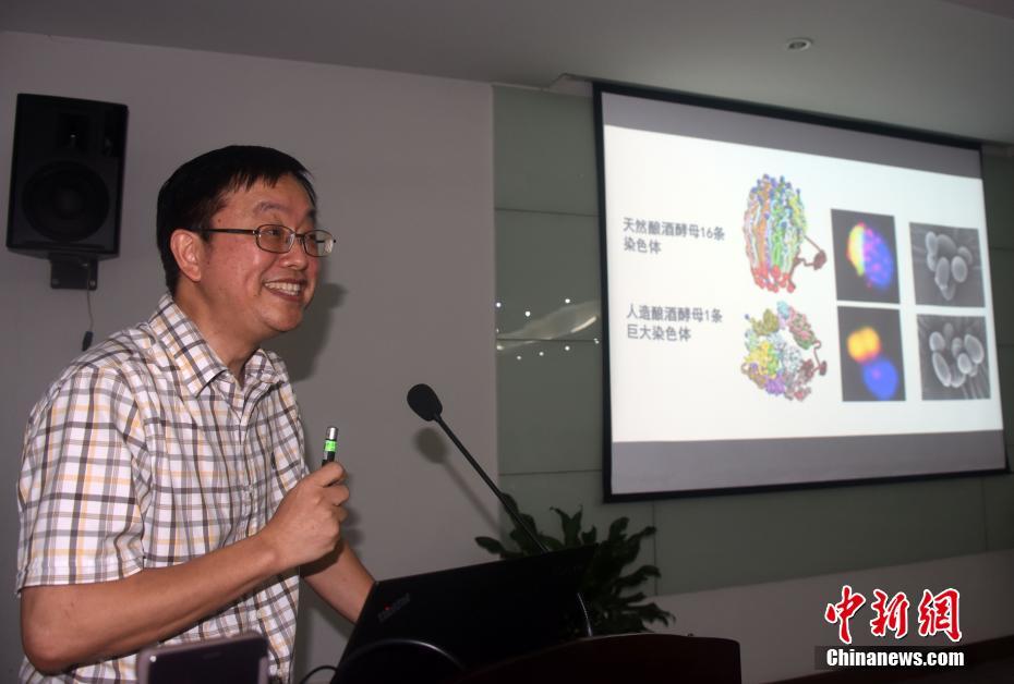 论新出书籍里的皋陶形象