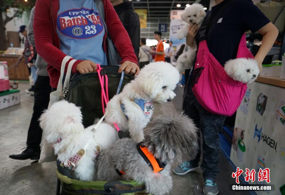 “绚丽70年·醉美塘西河”全民拍摄大赛发动