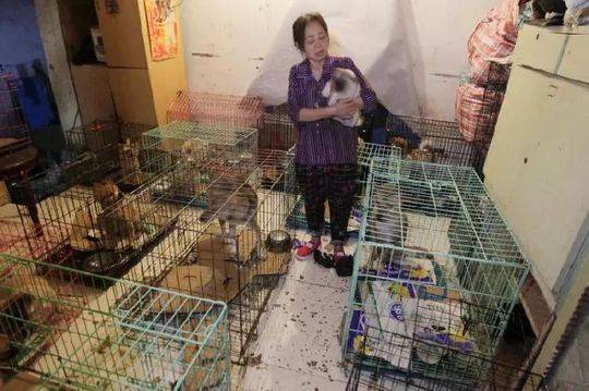 效法烏克蘭，前 Google 執行長施密特：台灣應採用大量無人艇抵抗中國入侵