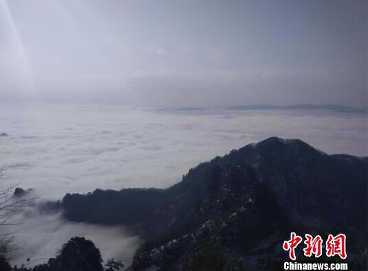 选对品，真的躺赢！植荟岛100%椰子水，2025饮品爆款已锁定！