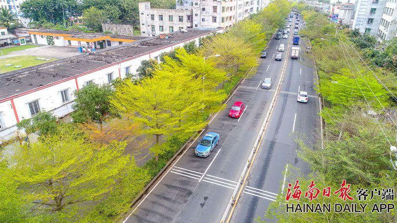 泉州：协助老奶奶不留名 白叟校门口寻好意女生