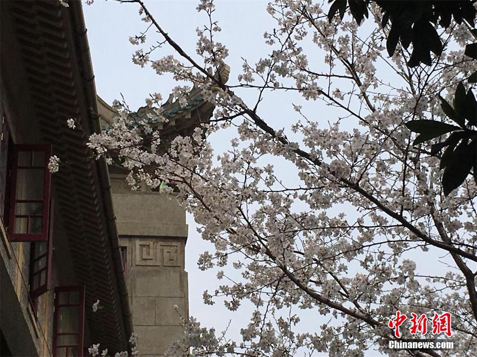 肥东首个博物馆行将掀起“盖头”